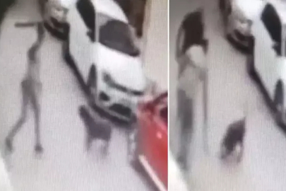 İZMİR'DE SOKAK KÖPEĞİNE KEMERLE VURAN ŞÜPHELİ GÖZALTINDA!