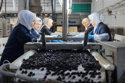 MARMARABİRLİK KOZMETİK SEKTÖRÜNE GİRDİ