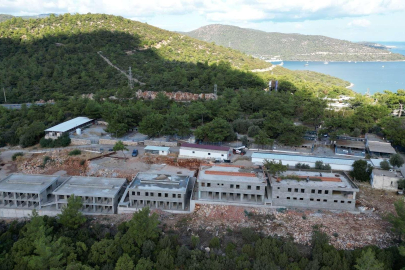 BODRUM'DA SOKAK HAYVANLARI DA HUZURLU