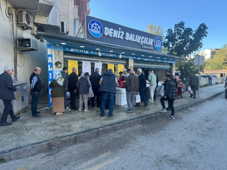 Karadeniz'de hamsi bolluğu balıkçıları da vatandaşı da sevindirdi