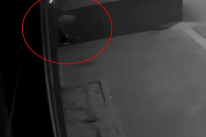 SOKAĞA TUVALETİNİ YAPAN HIRSIZ YAKAYI ELE VERDİ