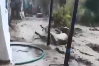 AYDIN'IN EFELER İLÇESİNDE BÜYÜKBAŞ HAYVANLAR SELE KAPILDI