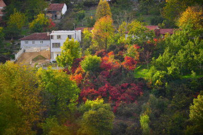 ULUDAĞ ETEKLERİNDE MUHTEŞEM SONBAHAR BÜYÜSÜ