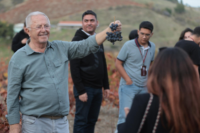 UZMANLAR COĞRAFİ İŞARETLİ KAVACIK ÜZÜMÜNE HAYRAN KALDI
