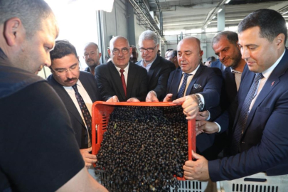 BURSA’DA MARMARABİRLİK ZEYTİN ALIMLARINA BAŞLADI