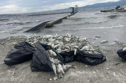 İZMİR KÖRFEZİ'NDE PLANKTON PATLAMASI: DENİZ YİNE KAHVERENGİ