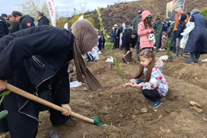 BURSA'DA YANAN ORMANLAR YENİDEN YEŞERİYOR