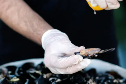 MİDYE VE KUMPİR ZEHİRLER Mİ? UZMANLAR AÇIKLADI