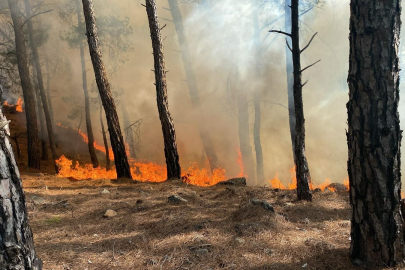 MUĞLA'DA YAZ SEZONU BİTTİ AMA ORMAN YANGINLARI BİTMEDİ