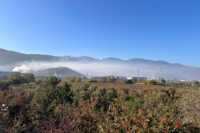 YEŞİL BURSA'NIN BAŞI, BACALARI FİLTRESİZ FABRİKALARLA DERTTE