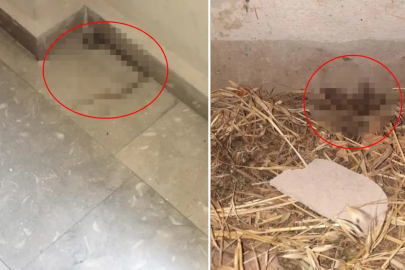 İZMİR'DE BİR KIZ YURDUNDAKİ GÖRÜNTÜLER KAN DONDURDU