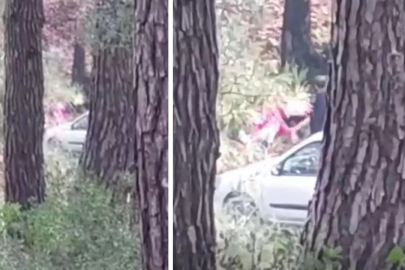 KADINI ORMANLIK ALANDA DARBEDEN ŞAHIS KISKIVRAK YAKALANDI