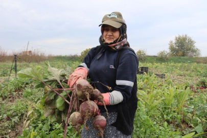 İZMİR'DE 'KIRMIZI ELMAS' MESAİSİ SÜRÜYOR