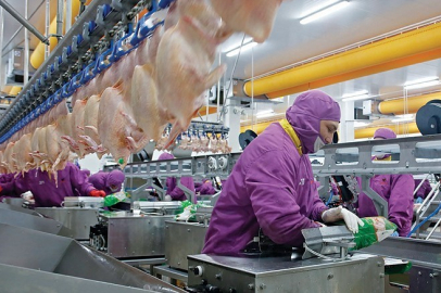 TÜRKİYE'DE ÜRETİM VE TÜKETİM ŞAMPİYONU BEYAZ ET