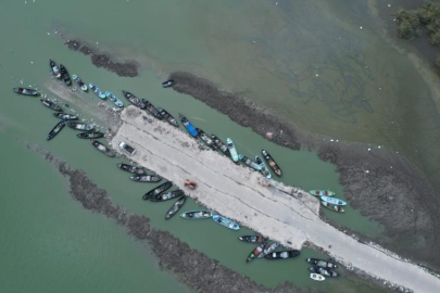 KURAKLIK NEDENİYLE ÇELTİK EKİMİNE YASAK GELDİ