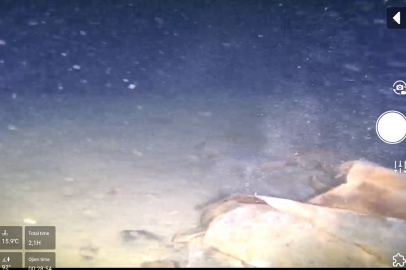 MARMARA DENİZİNİN DİBİNDE 50 YILLIK SIR ORTAYA ÇIKIYOR