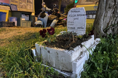 TAKSİCİLER ÖLEN MUHABBET KUŞU İÇİN MEZAR YAPTI