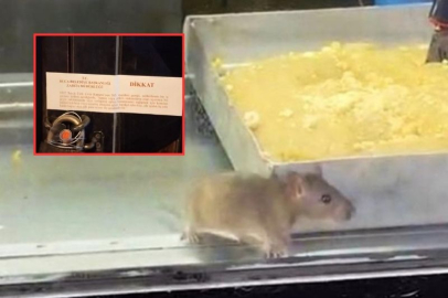 İZMİR'DE BÖREK TEZGAHINDA FARE SKANDALI: İŞLETME MÜHÜRLENDİ