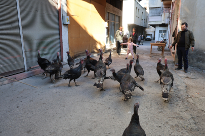 BÖYLE SEYYAR GÖRÜLMEDİ: HİNDİLER ÇARŞIDA GEZDİRİLİYOR