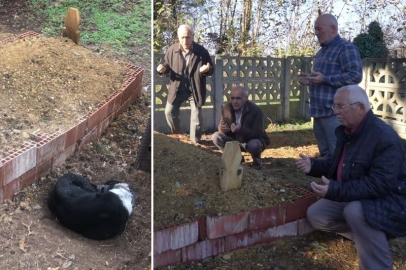 YERLİ HACHİKO: SAHİBİNİN MEZARINDAN AYRILMADI