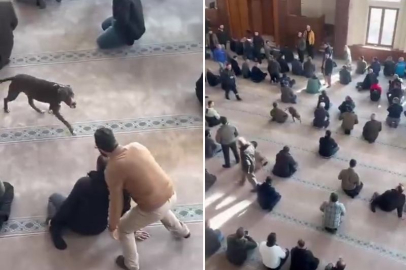 CUMA NAMAZI ÖNCESİ CAMİYE GİREN PİTBULL PANİĞE NEDEN OLDU