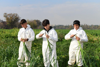 OSMANGAZİ BELEDİYESİ’NDEN TARIMA GÜÇLÜ DESTEK
