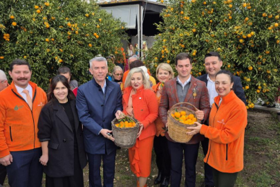 BODRUM’DA MANDALİN FESTİVALİ RENKLİ GÖRÜNTÜLERE SAHNE OLDU