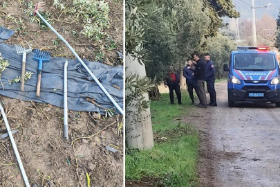 BURSA ’DA HIRSIZLAR 500 KİLO ZEYTİNİ DALINDAN ÇALDI