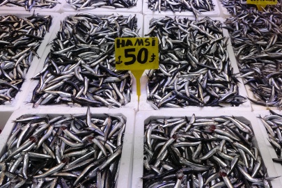 SEZON KISA SÜRDÜ: HAMSİ TÜRK KARASULARINI TERK ETTİ