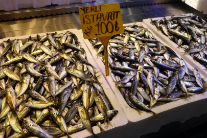 KARADENİZ’DE TAHT DEĞİŞİMİ: HAMSİNİN YERİNİ İSTAVRİT ALDI