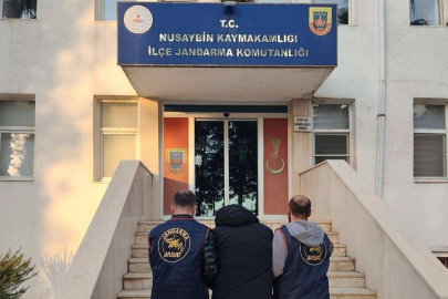 KARGO KUTUSUNDAN MUZ ÇIKARAN DOLANDIRICI YAKALANDI