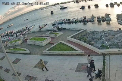 VİCDANLARI SIZLATAN ANLAR: KEDİYE TEKME ATIP DENİZE FIRLATTI