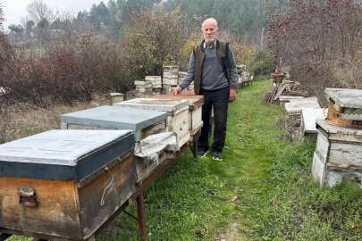BURSA'DA MİLYONLARCA ARI, ZİRAİ İLAÇ KURBANI OLDU
