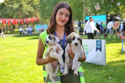 BURSA'DA PATİLİ DOSTLAR İHMAL EDİLMEDİ