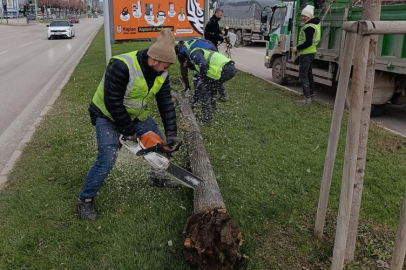 BURSA BÜYÜKŞEHİR BELEDİYESİ EKİPLERİ LODOS MESAİSİNDE