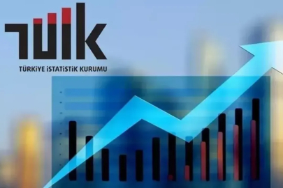 ARALIK AYINDA YILLIK ENFLASYON YÜZDE 30,89 OLDU