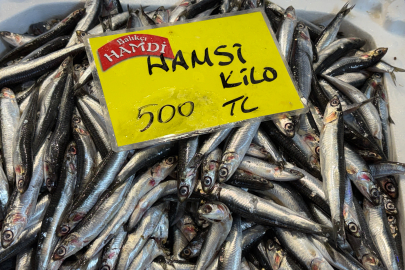 DENİZDEKİ DURGUNLUK TEZGAHA YANSIDI: BALIKTA YOKLUK SENESİ