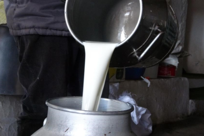 ÇİĞ SÜT FİYATLARI BELLİ OLDU