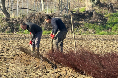 BURSA TÜRKİYE'NİN FİDANCILIK MERKEZİ HALİNE GELDİ