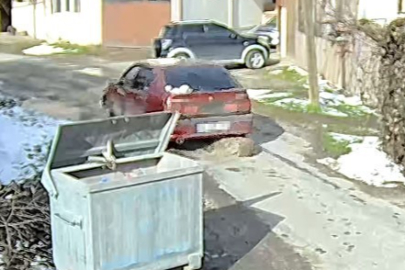 EZİLEN KÖPEĞİN VÜCUDUNDAN 400 SAÇMA ÇIKTI