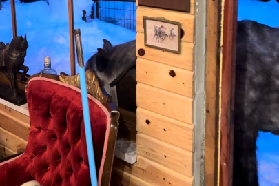 YILKI ATLARI EVİN KAPISINA KADAR GELDİ