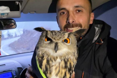 ARTVİN'DE TELLERE TAKILAN BAYKUŞ KURTARILDI