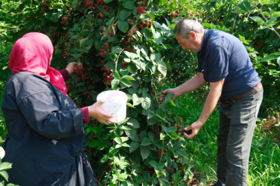 BURSA'DA ÜRETİM SIRBİSTAN MODELİYLE ARTIRILACAK