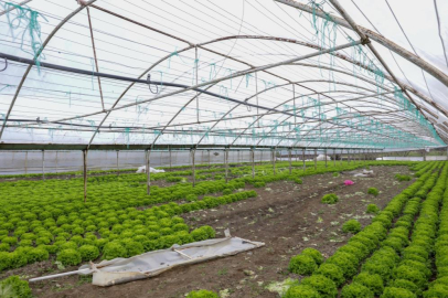 BURSA'DA LODOS YARALARINI BÜYÜKŞEHİR SARIYOR