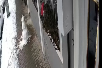 ADAM KARDAN, HIRSIZ İNSAN