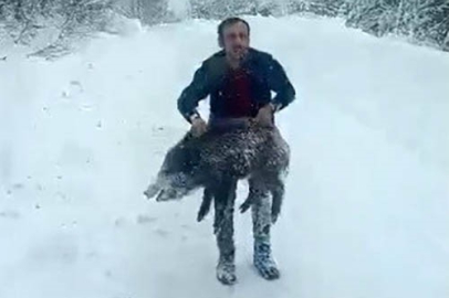 VATANDAŞA KESİLEN "DOMUZ" CEZASI İPTAL OLDU