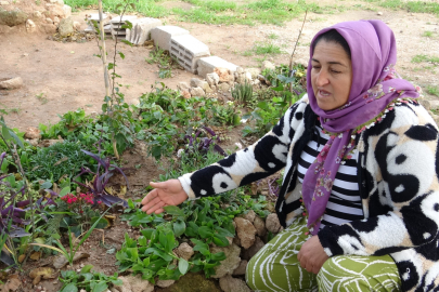 MEZARDA BİLE RAHAT YOK: ÇİÇEKLERİ SÖKÜP MADDE SAKLADILAR