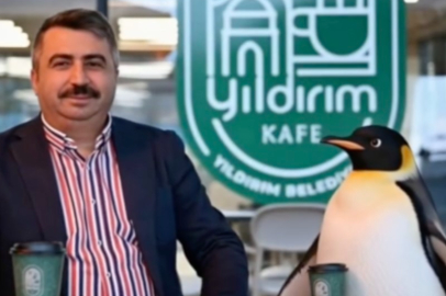 PENGUEN SÜRÜDEN AYRILIRKEN BELEDİYELER BOŞ DURMADI