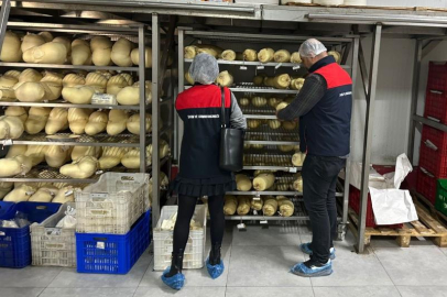 DENETİMLERDE YAKA KEMARASI UYGULAMASI BAŞLIYOR