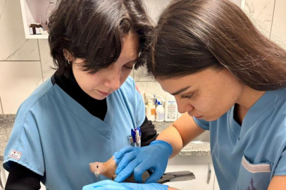 İZMİR BÜYÜKŞEHİR BELEDİYESİ TÜM CANLILAR İÇİN SEFERBER